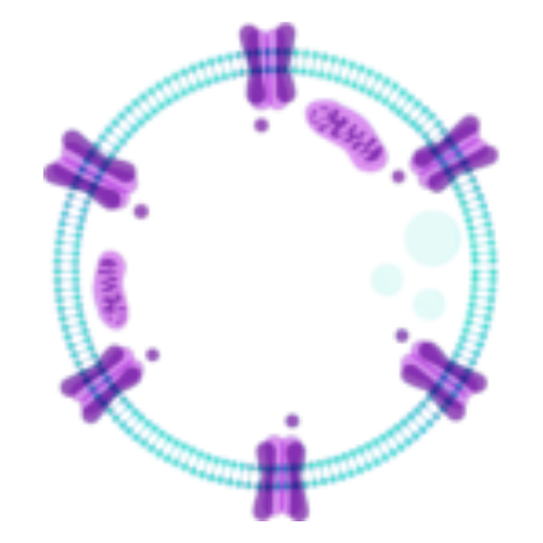 Ion Channel-Targeted Drug Development Summit Logo
